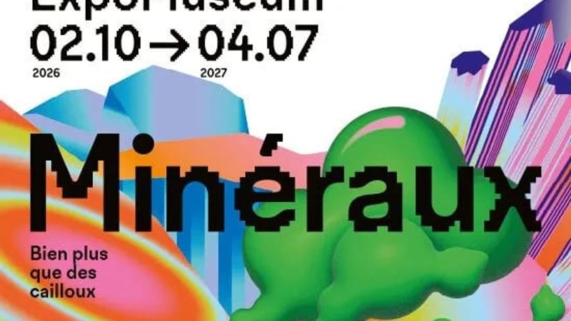 Minéraux, bien plus que des cailloux