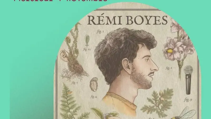 REMI BOYES – Bombus Terrestris