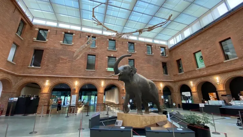 Muséum de Toulouse