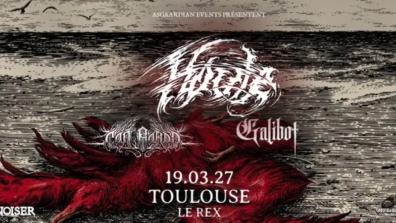 HOULE + CÂN BARDD + GALIBOT