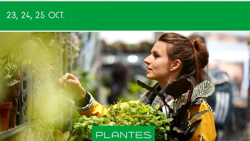 Plantes pour tous